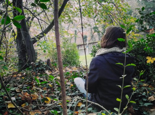 image d'illustration de : Vivre la nature en ville